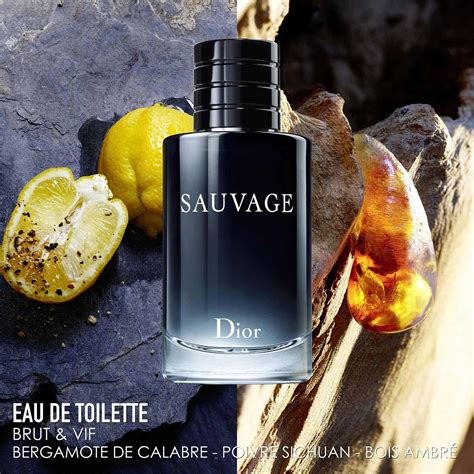 dior sauvage eau de toilette notes|Dior Sauvage fragrance notes.